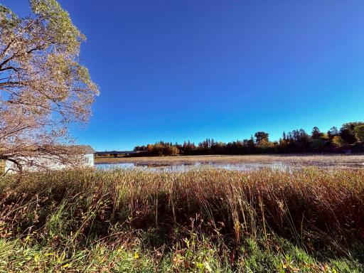 Baudette River