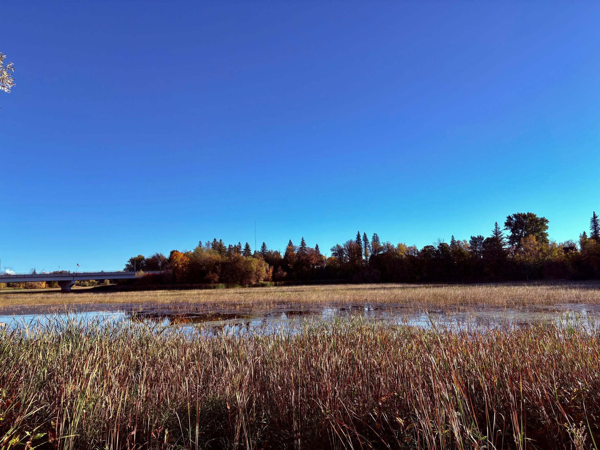 Baudette River