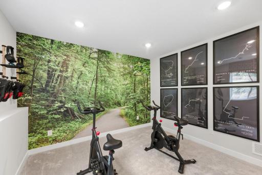 4187 Narrows Canyon Trail, Chaska, MN 55318