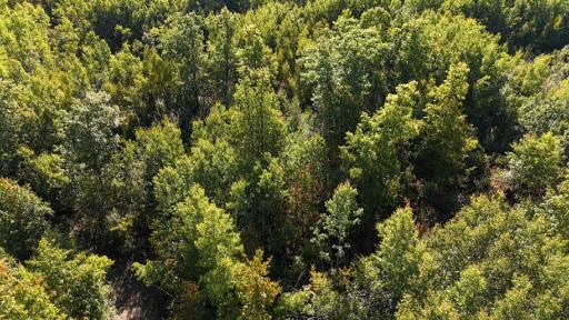 TBD Estates Range Road, Kerrick, MN 55756