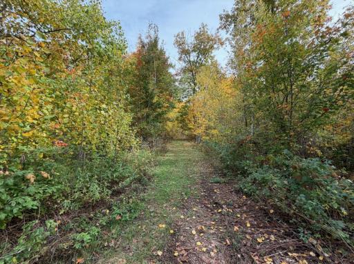 TBD Estates Range Road, Kerrick, MN 55756