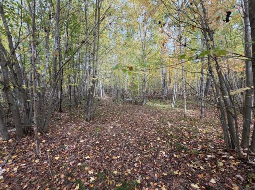 TBD Estates Range Road, Kerrick, MN 55756