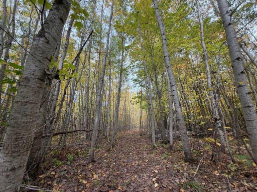 TBD Estates Range Road, Kerrick, MN 55756