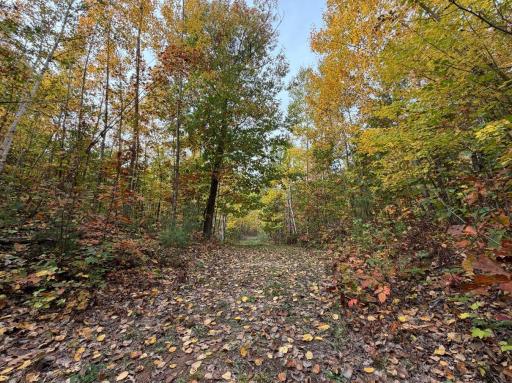 TBD Estates Range Road, Kerrick, MN 55756