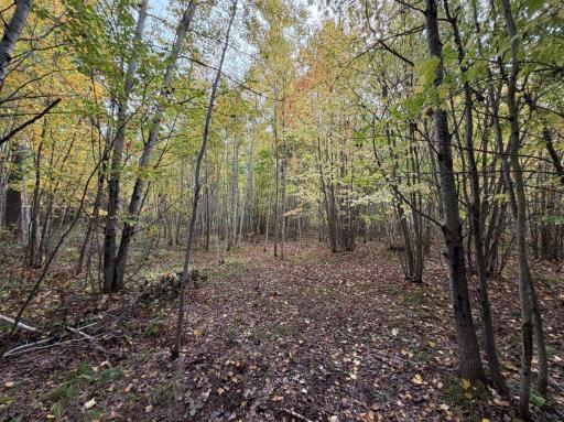 TBD Estates Range Road, Kerrick, MN 55756