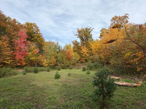 TBD Estates Range Road, Kerrick, MN 55756
