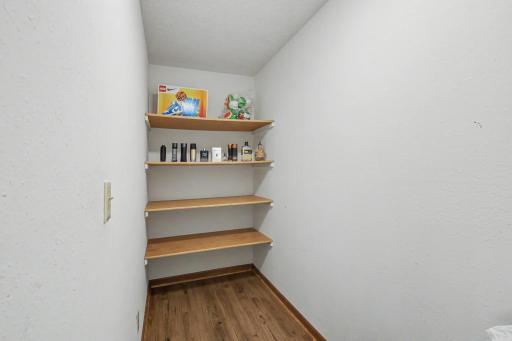 Second Primary Bedroom Walk-in with new flooring Closet