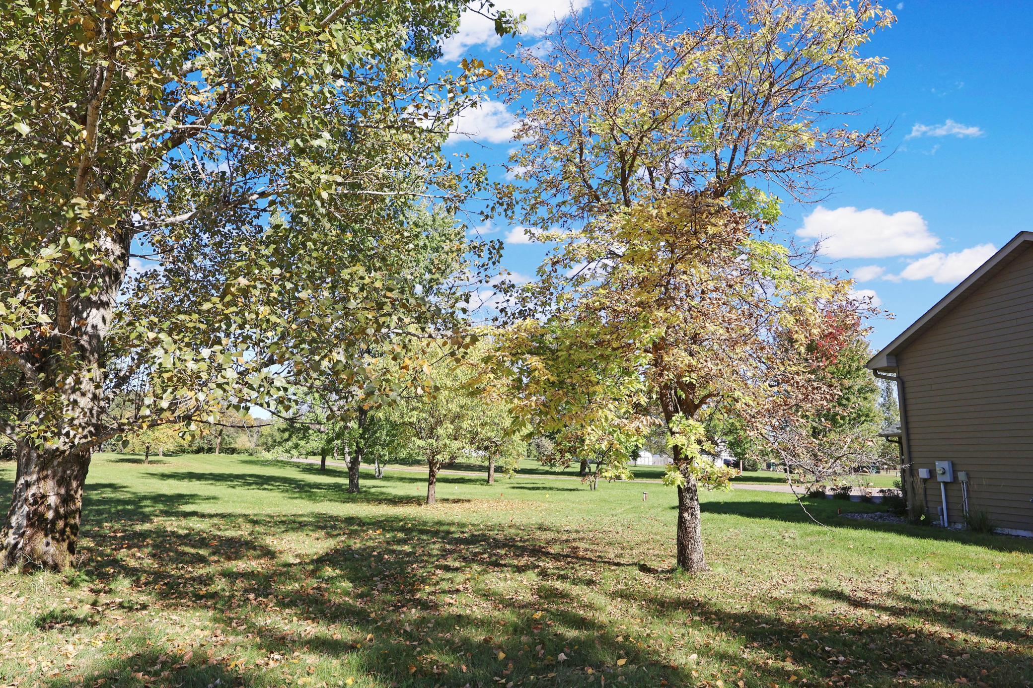 Your view from the side of the house to the road- you are tucked back in the trees.