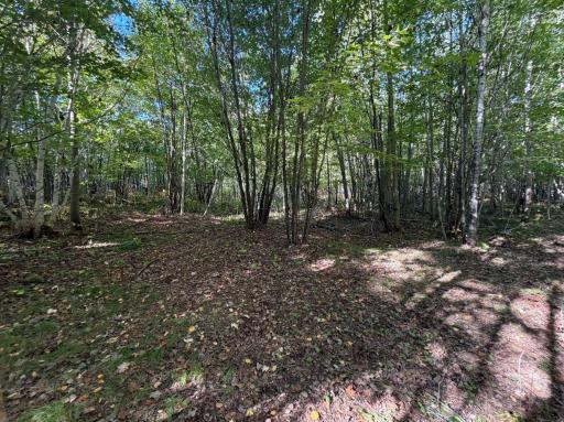 TBD Estates, Kerrick, MN 55756