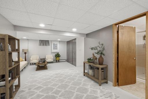 Lower Level Rec/Family Room