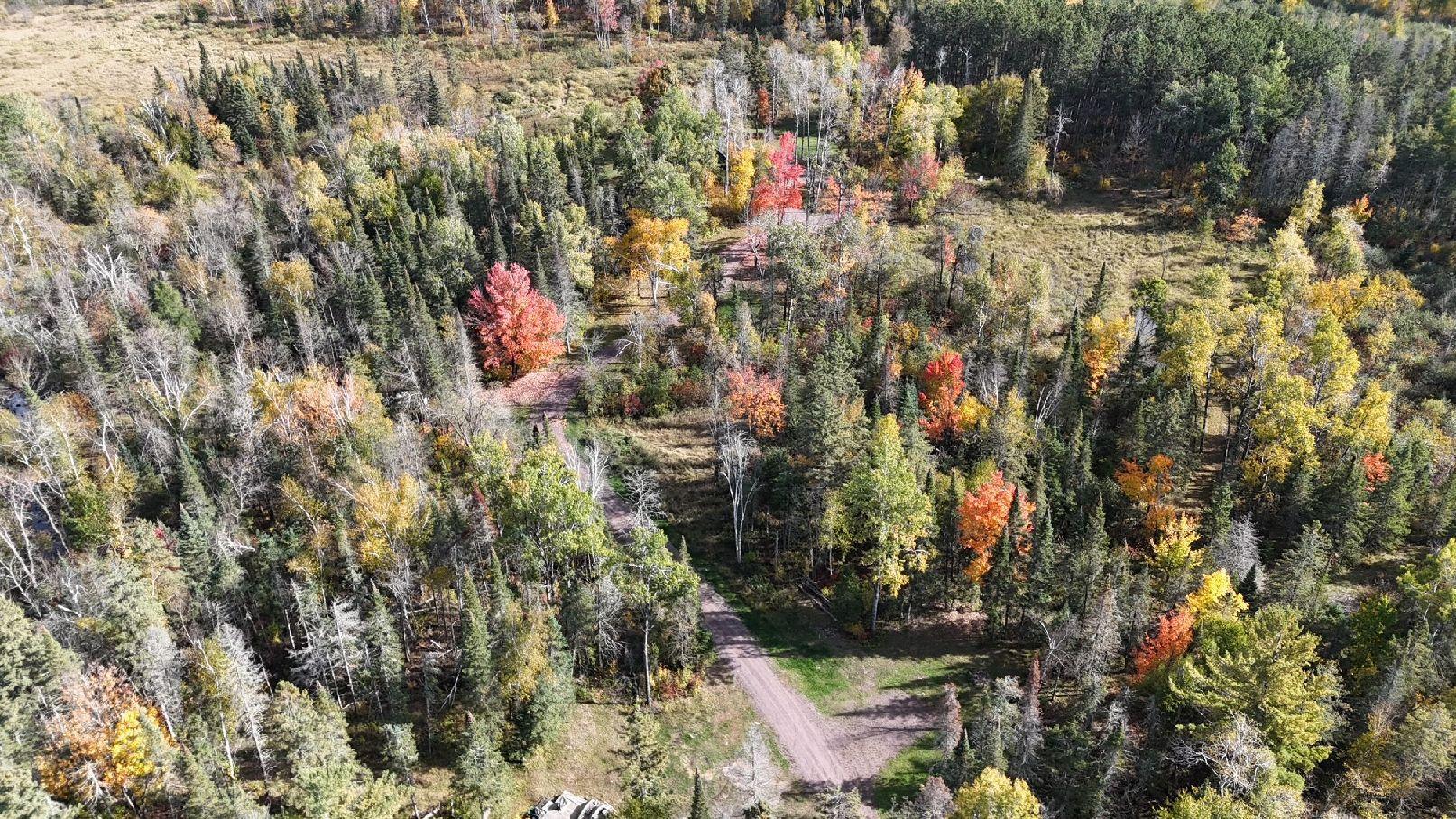 ss22.jpg