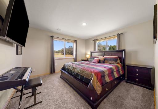 The primary bedroom has plenty of natural light from the two windows that overlook the front of the home and the side of the backyard.