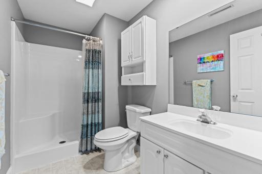 Lower-Level Bathroom