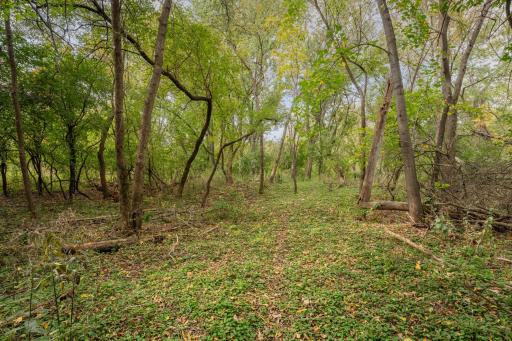 53 River Court NE, Rochester, MN 55906