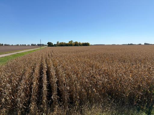 TBD 540th Avenue, Wells, MN 56097
