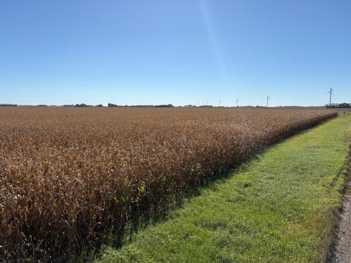 TBD 540th Avenue, Wells, MN 56097