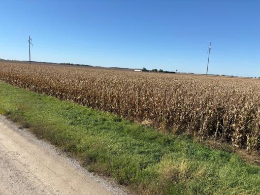 TBD 540th Avenue, Wells, MN 56097