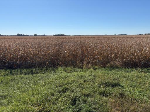 TBD 540th Avenue, Wells, MN 56097