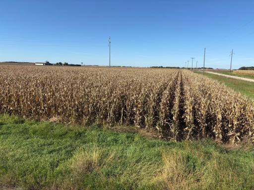 TBD 540th Avenue, Wells, MN 56097