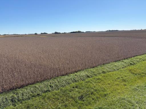 TBD 540th Avenue, Wells, MN 56097