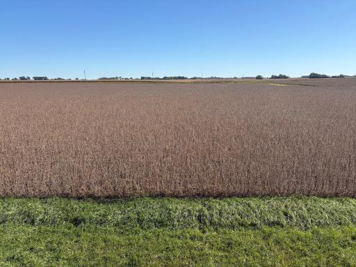 TBD 540th Avenue, Wells, MN 56097