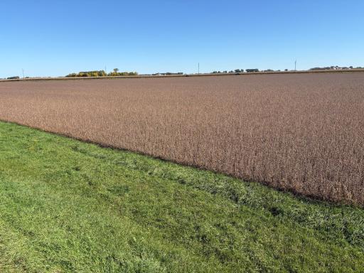 TBD 540th Avenue, Wells, MN 56097
