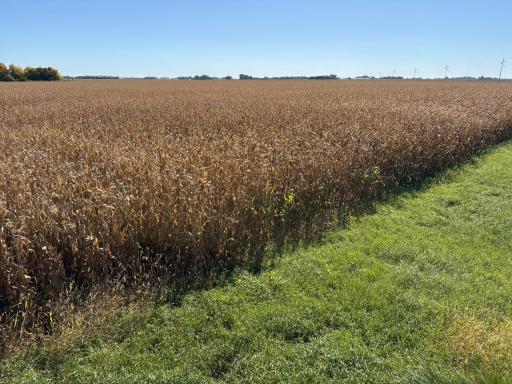 TBD 540th Avenue, Wells, MN 56097