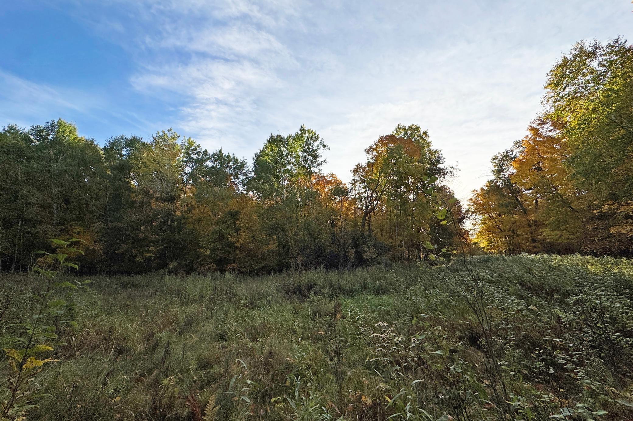 31-Becker-80-Land-17.JPG