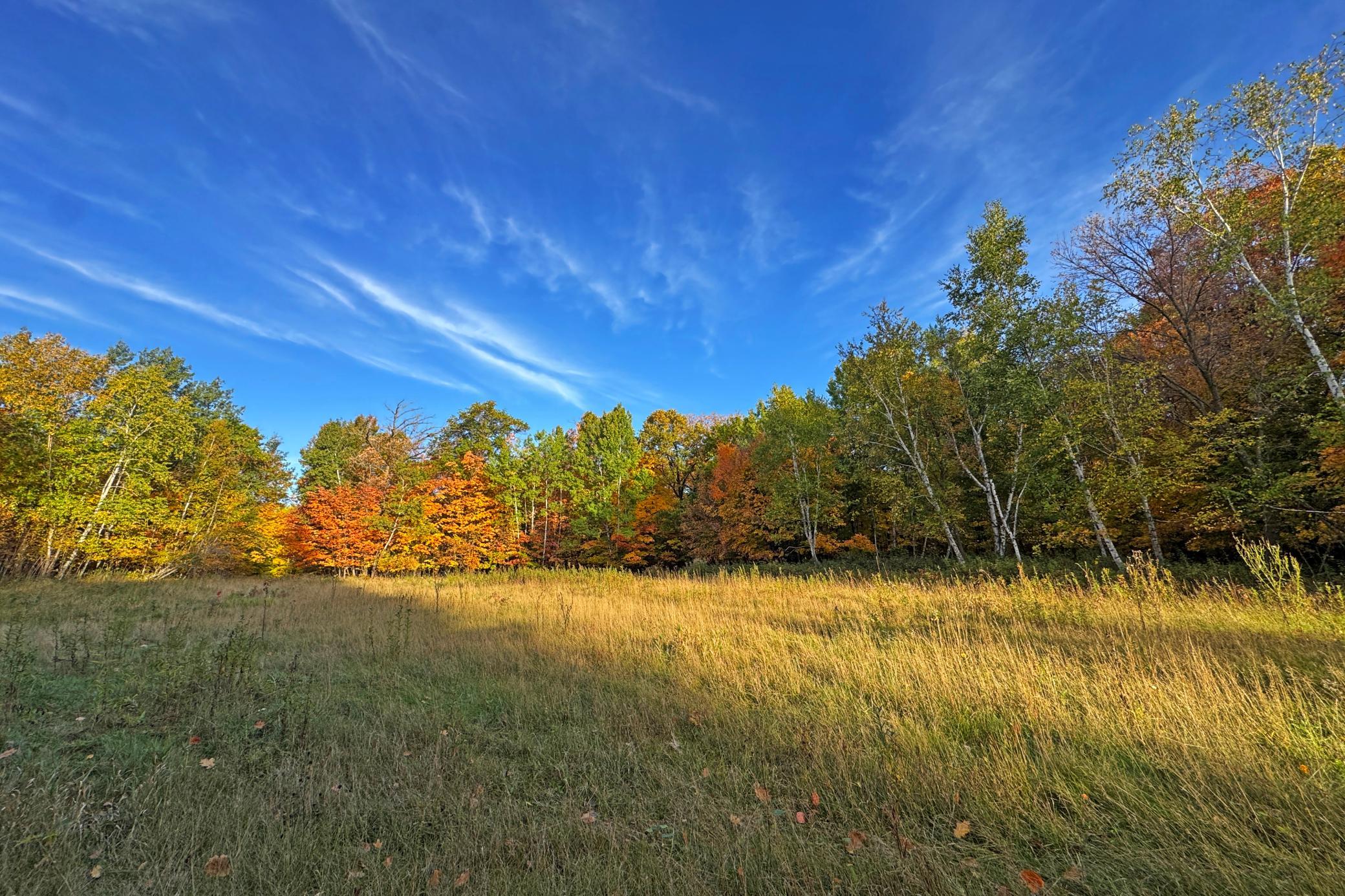 23-Becker-80-Land-09.JPG