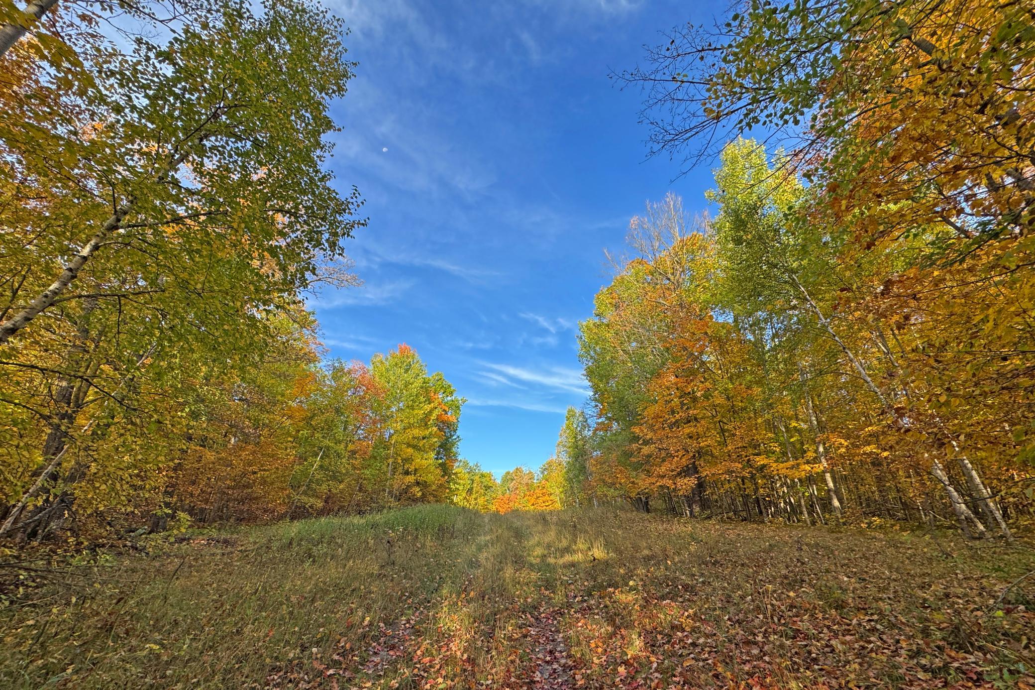 19-Becker-80-Land-05.JPG