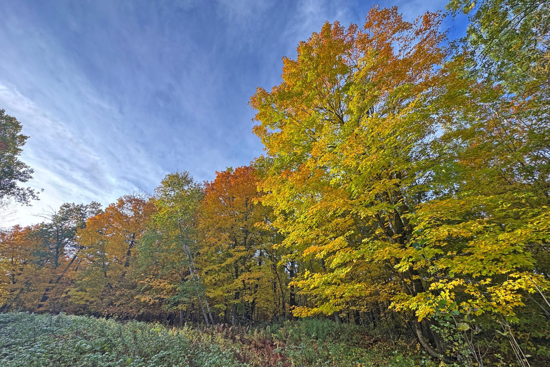 30-Becker-80-Land-16.JPG