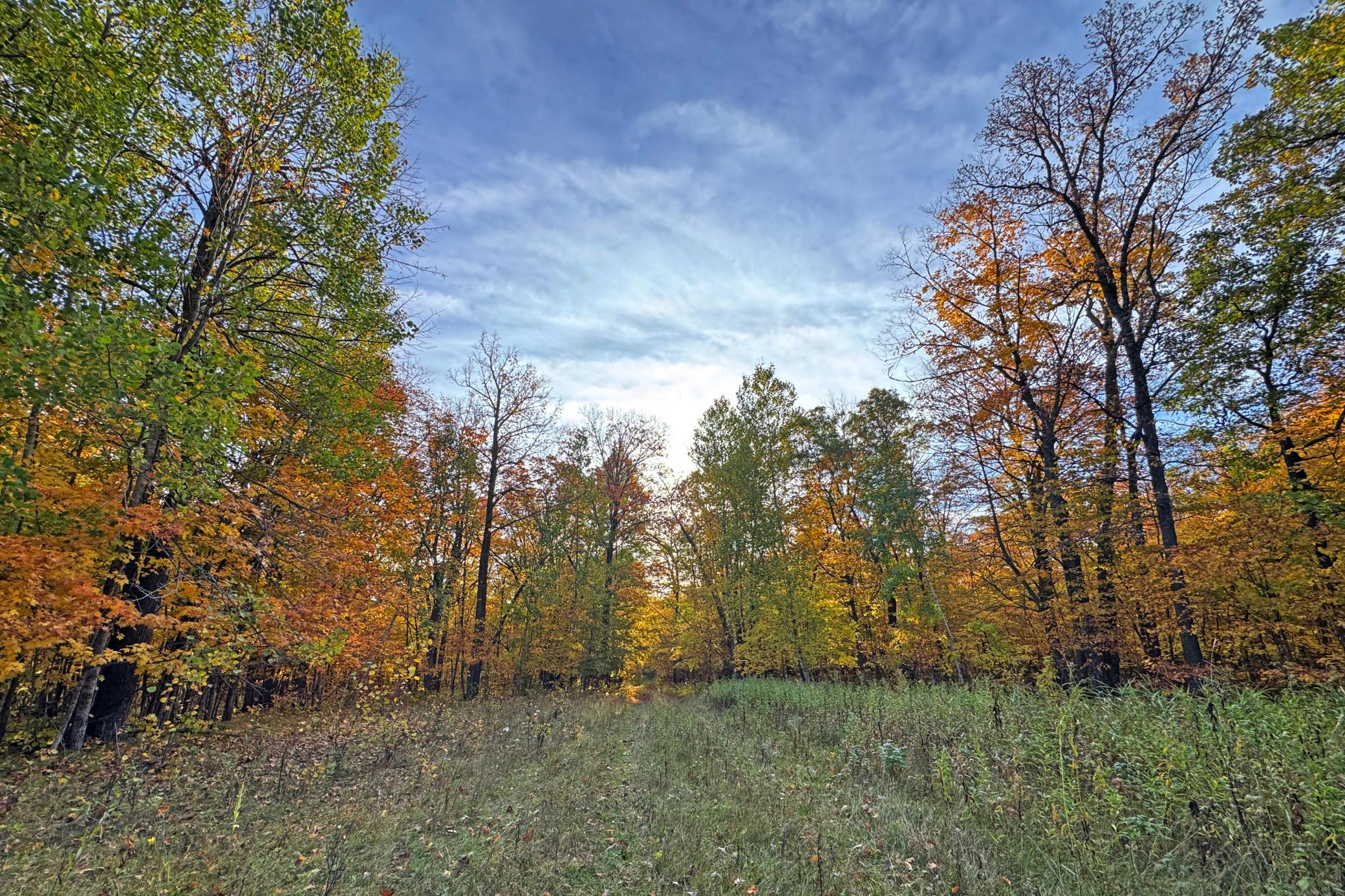 22-Becker-80-Land-08.JPG