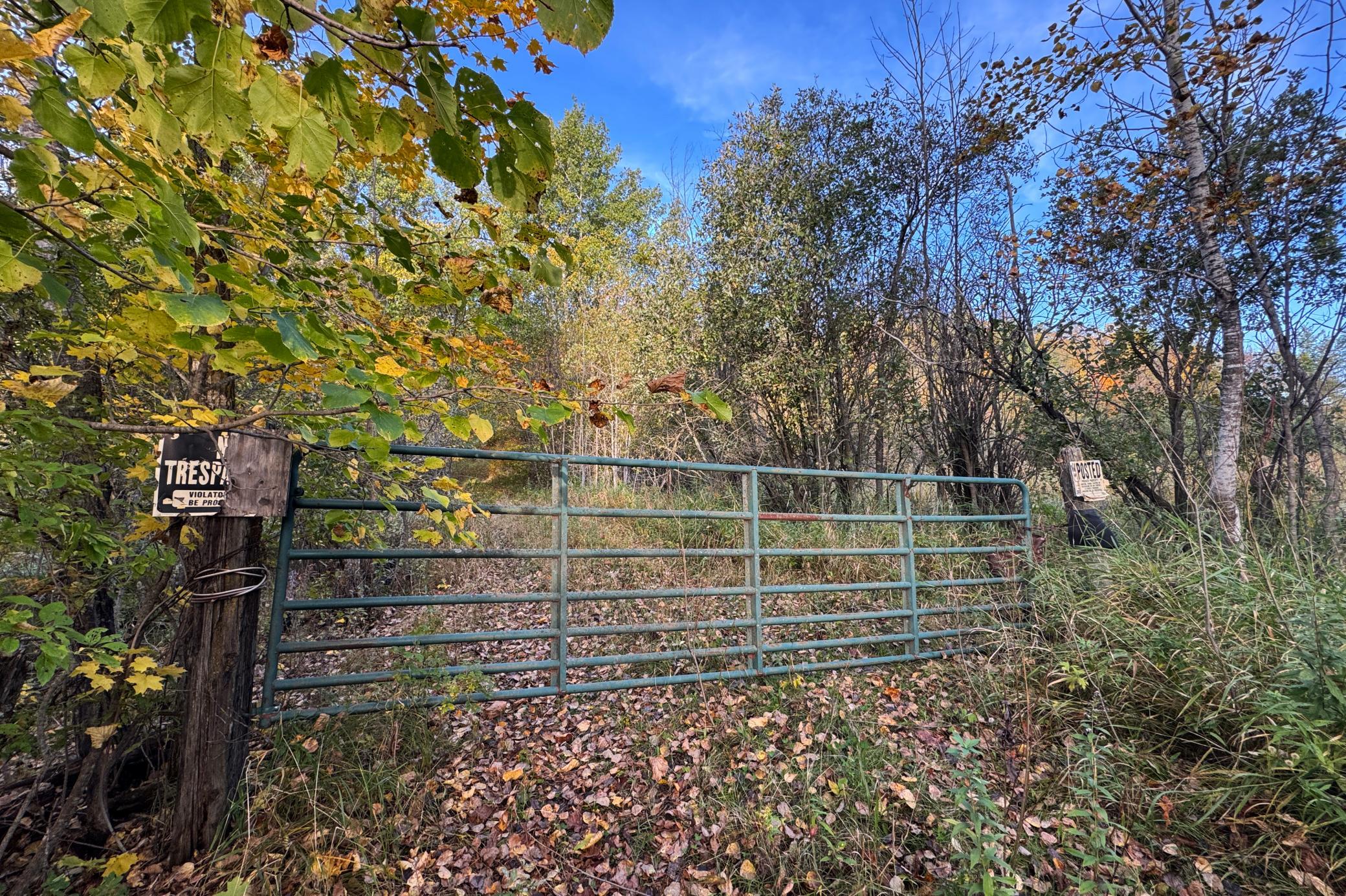 15-Becker-80-Land-01.JPG