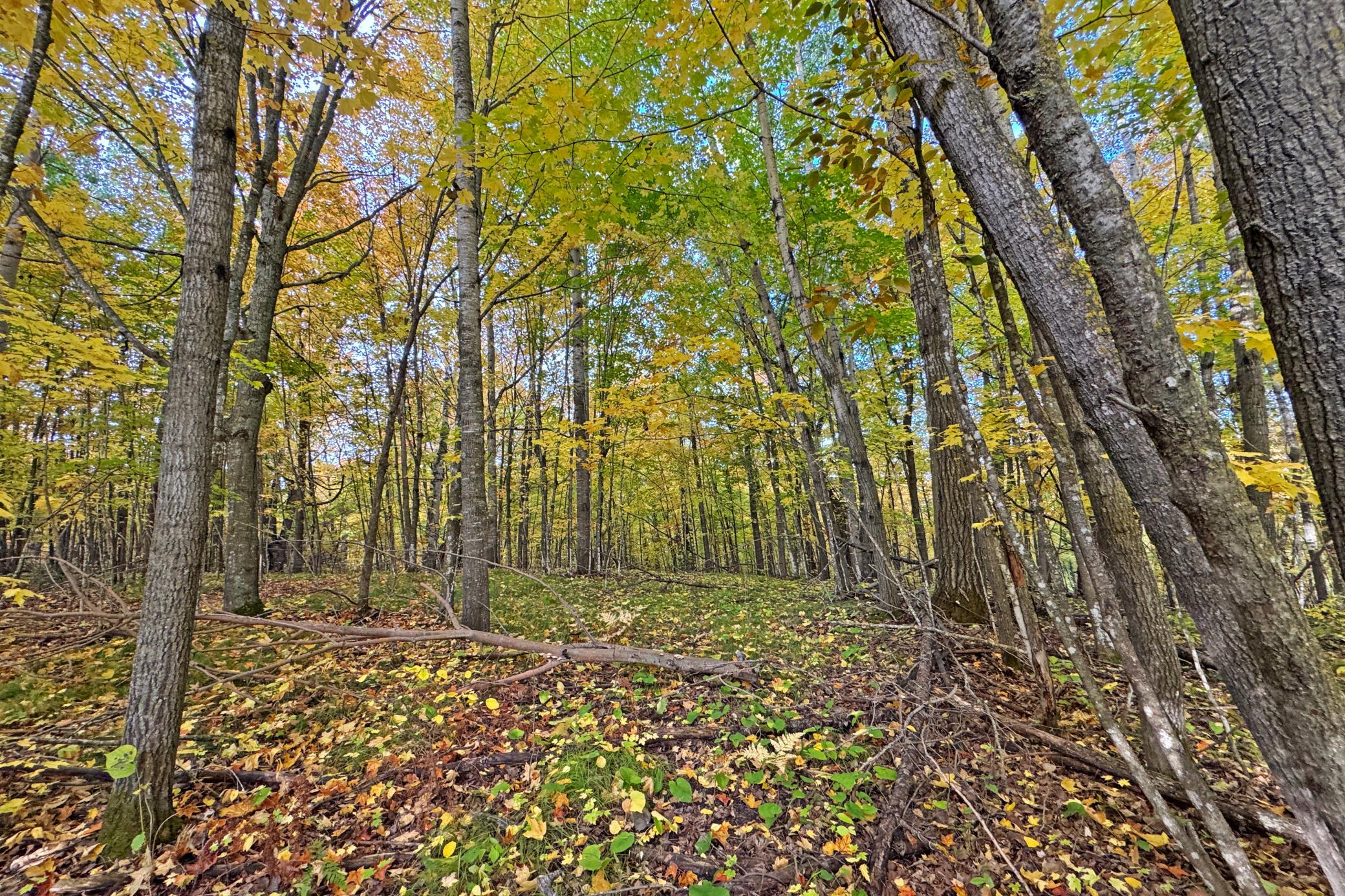 32-Becker-80-Land-18.JPG