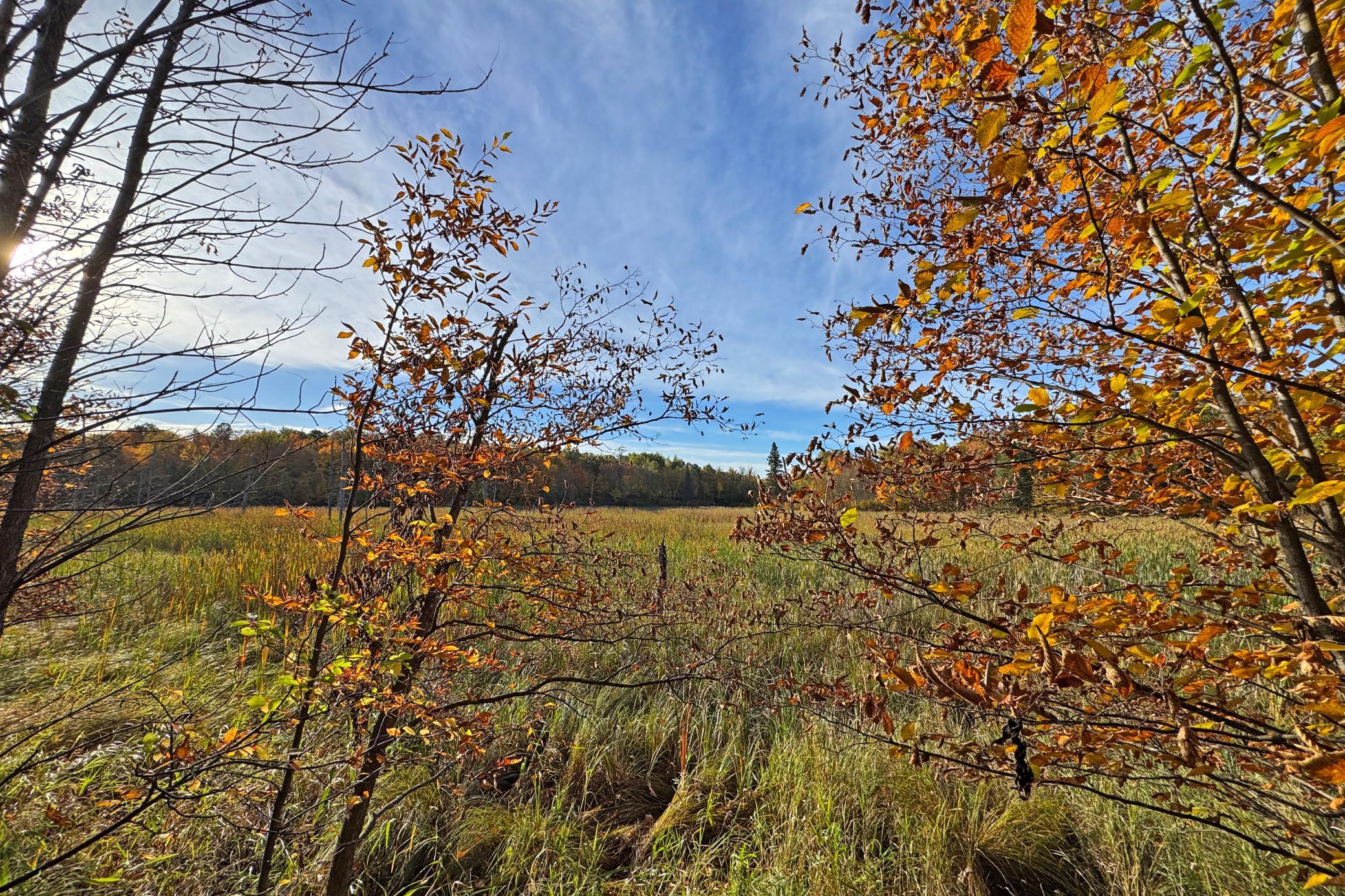 55-Becker-80-Land-37.JPG