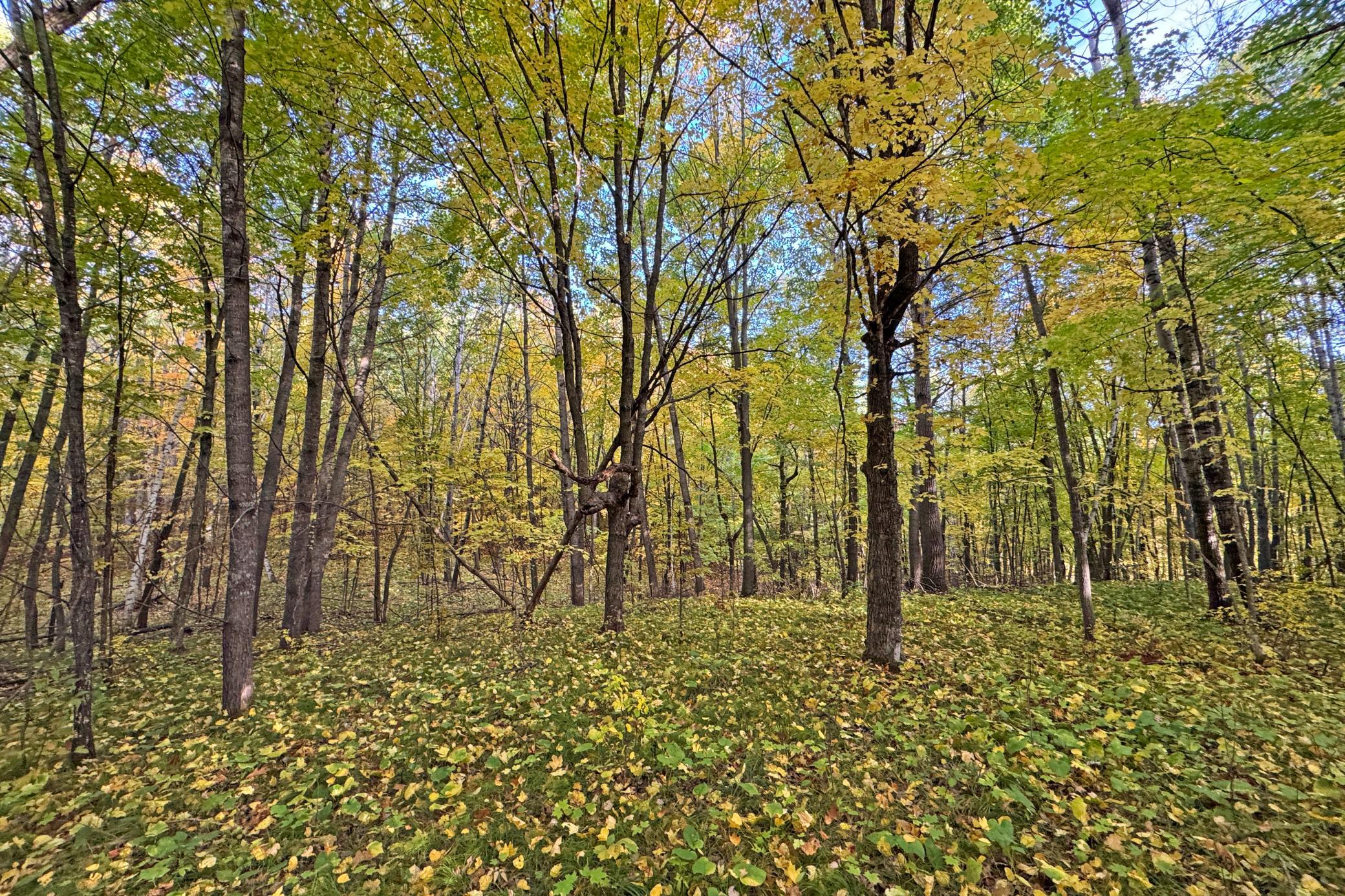 45-Becker-80-Land-31.JPG