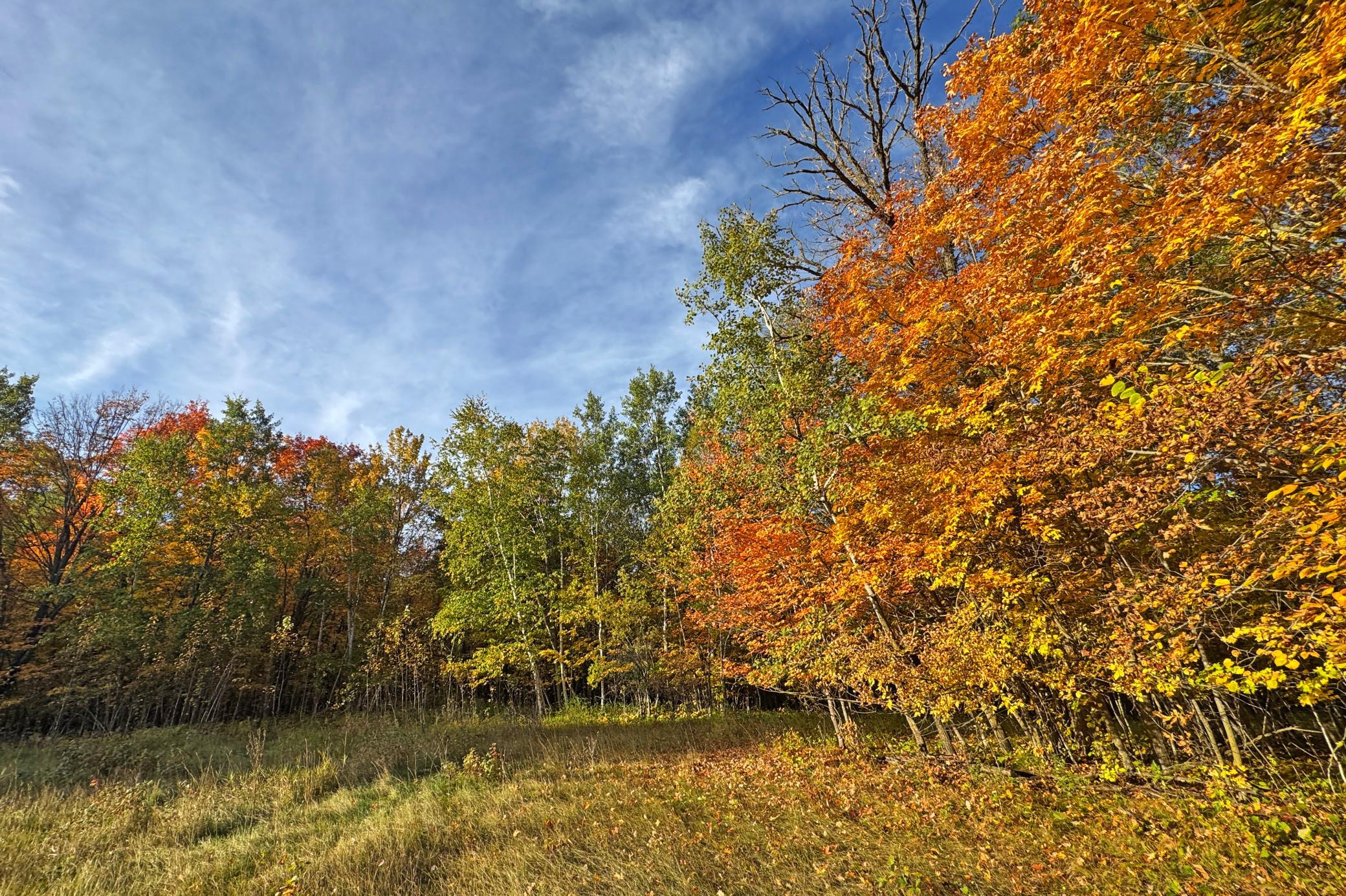 25-Becker-80-Land-11.JPG