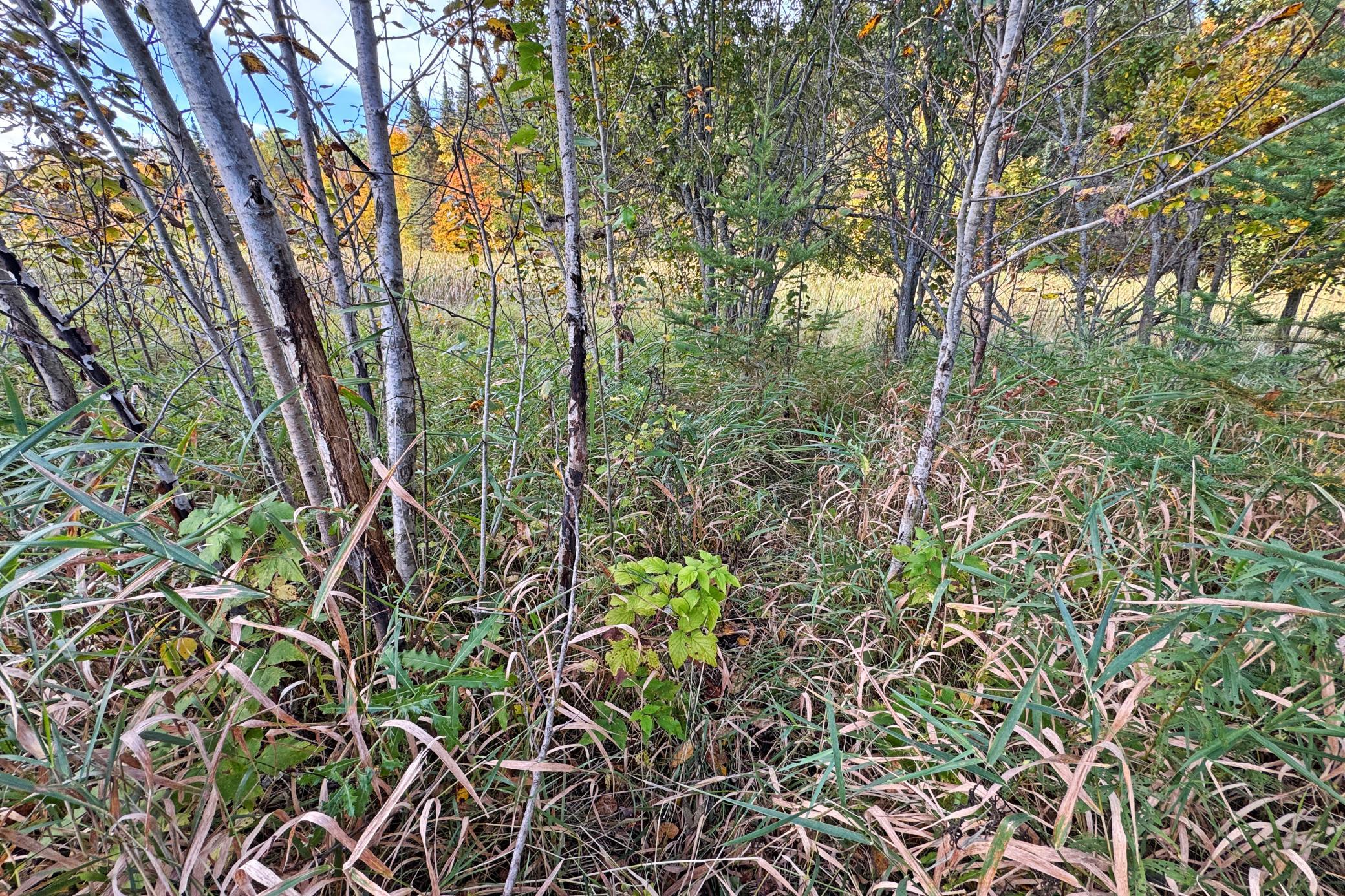 49-Becker-80-Land-35.JPG