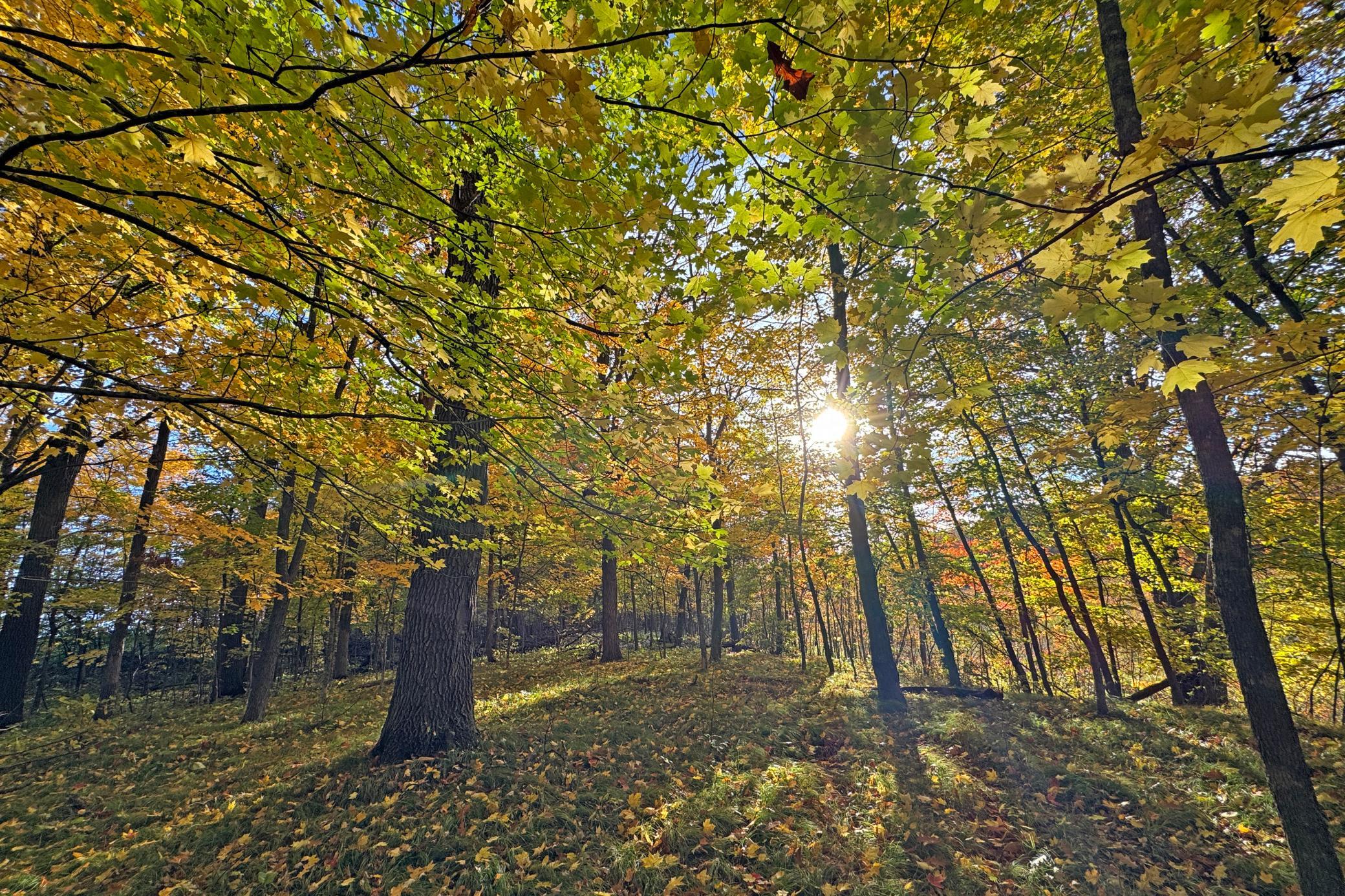 52-Becker-80-Land-34.JPG