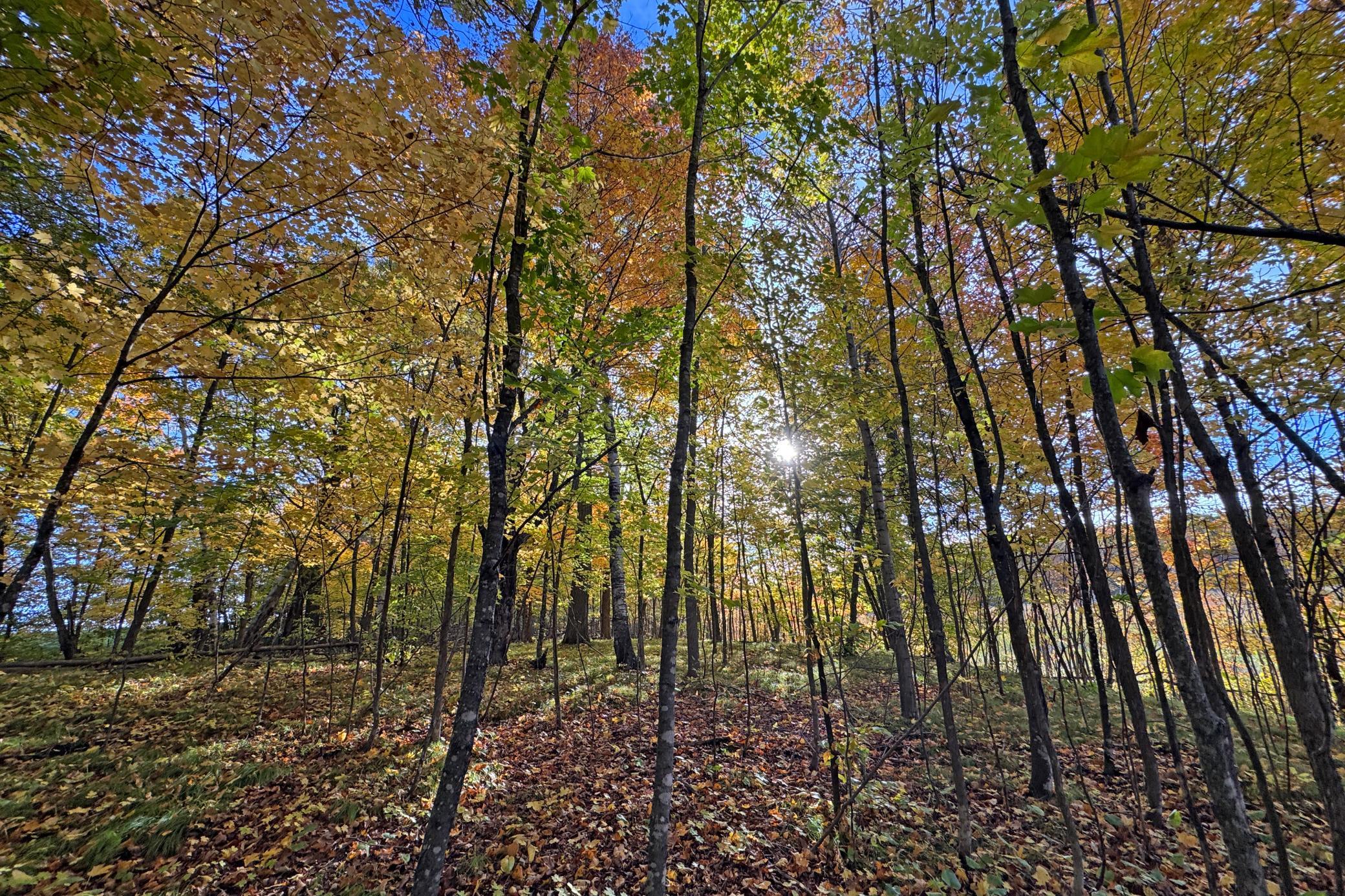 51-Becker-80-Land-33.JPG