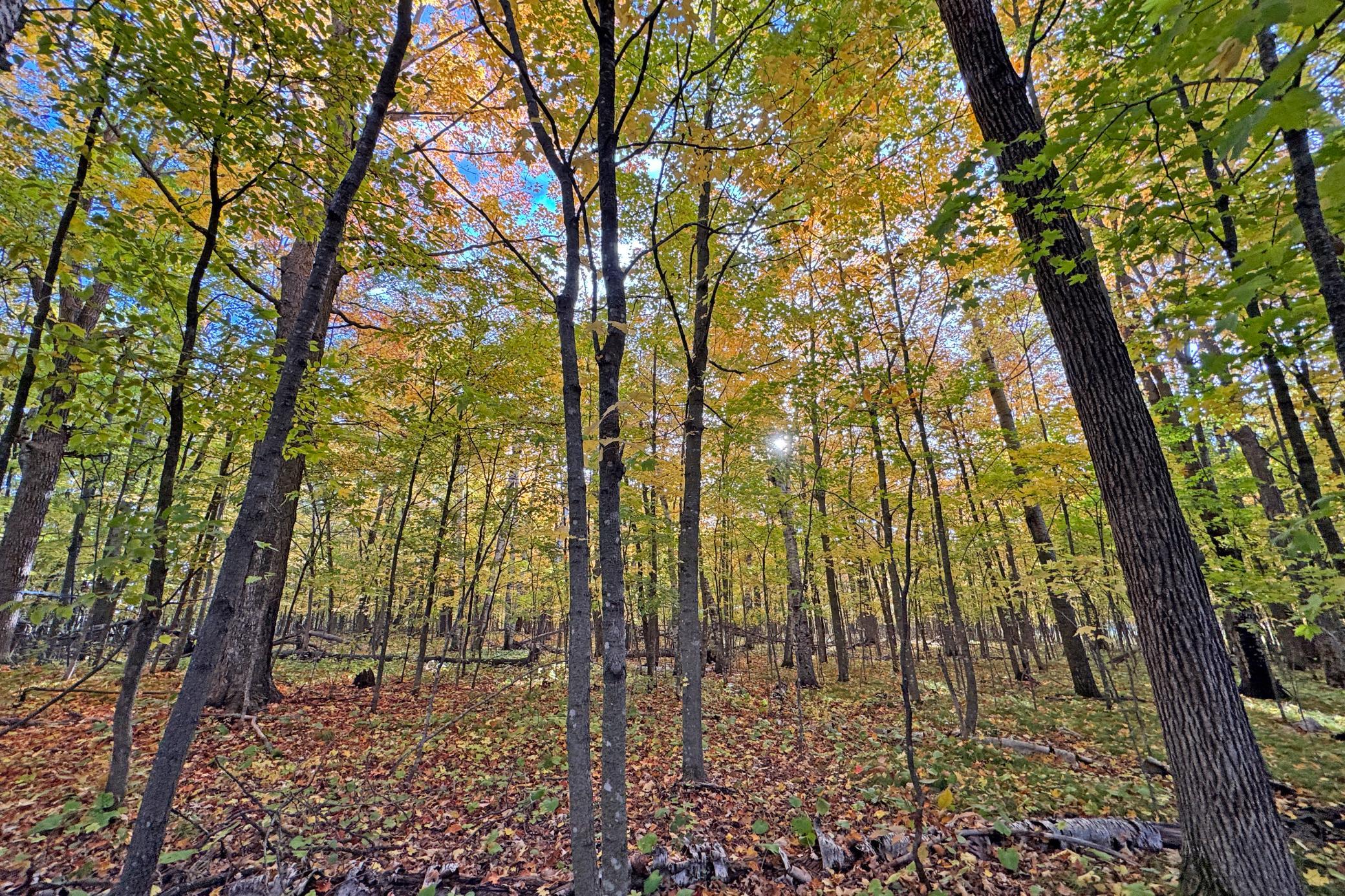 58-Becker-80-Land-40.JPG
