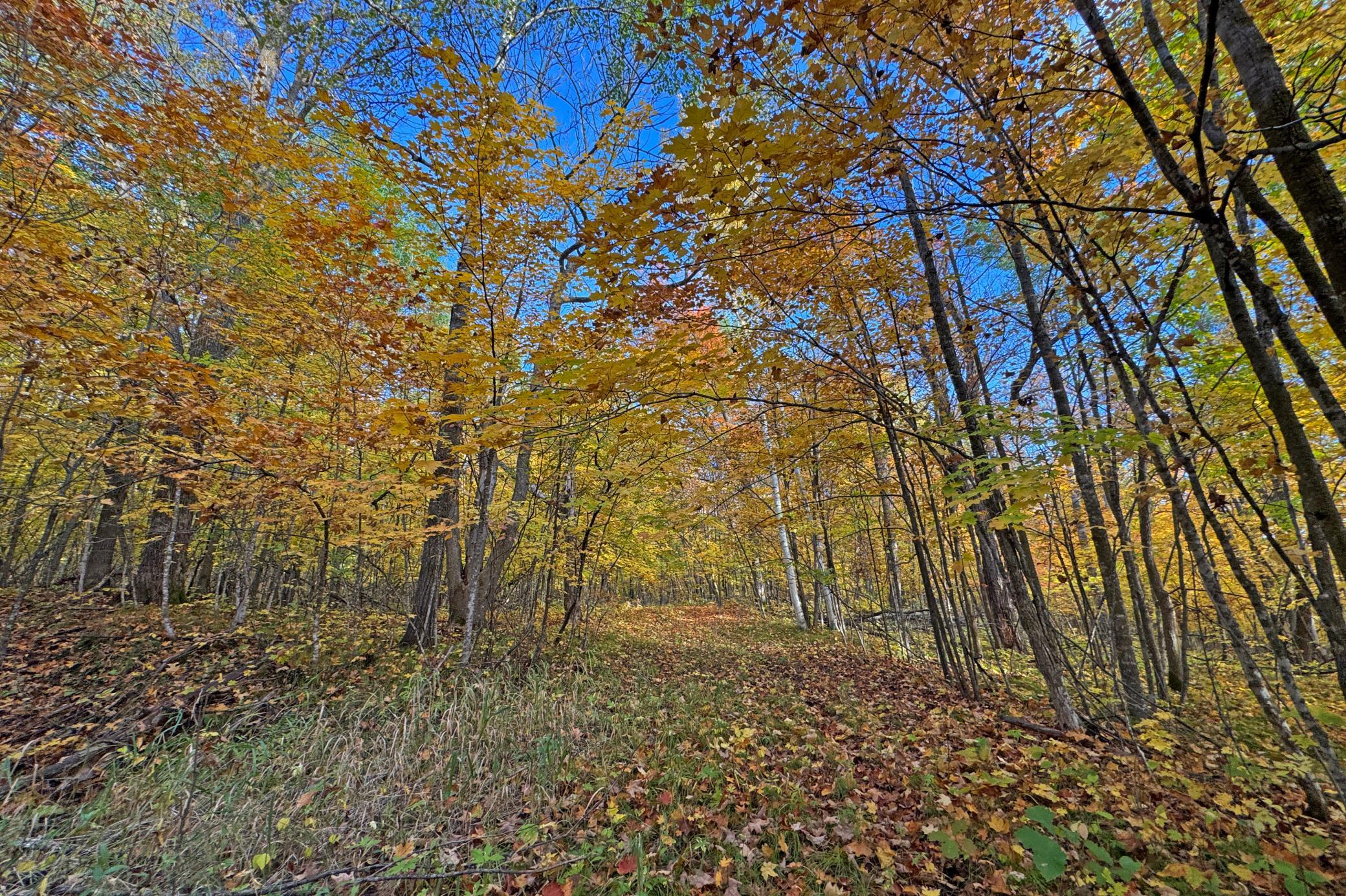 17-Becker-80-Land-03.JPG