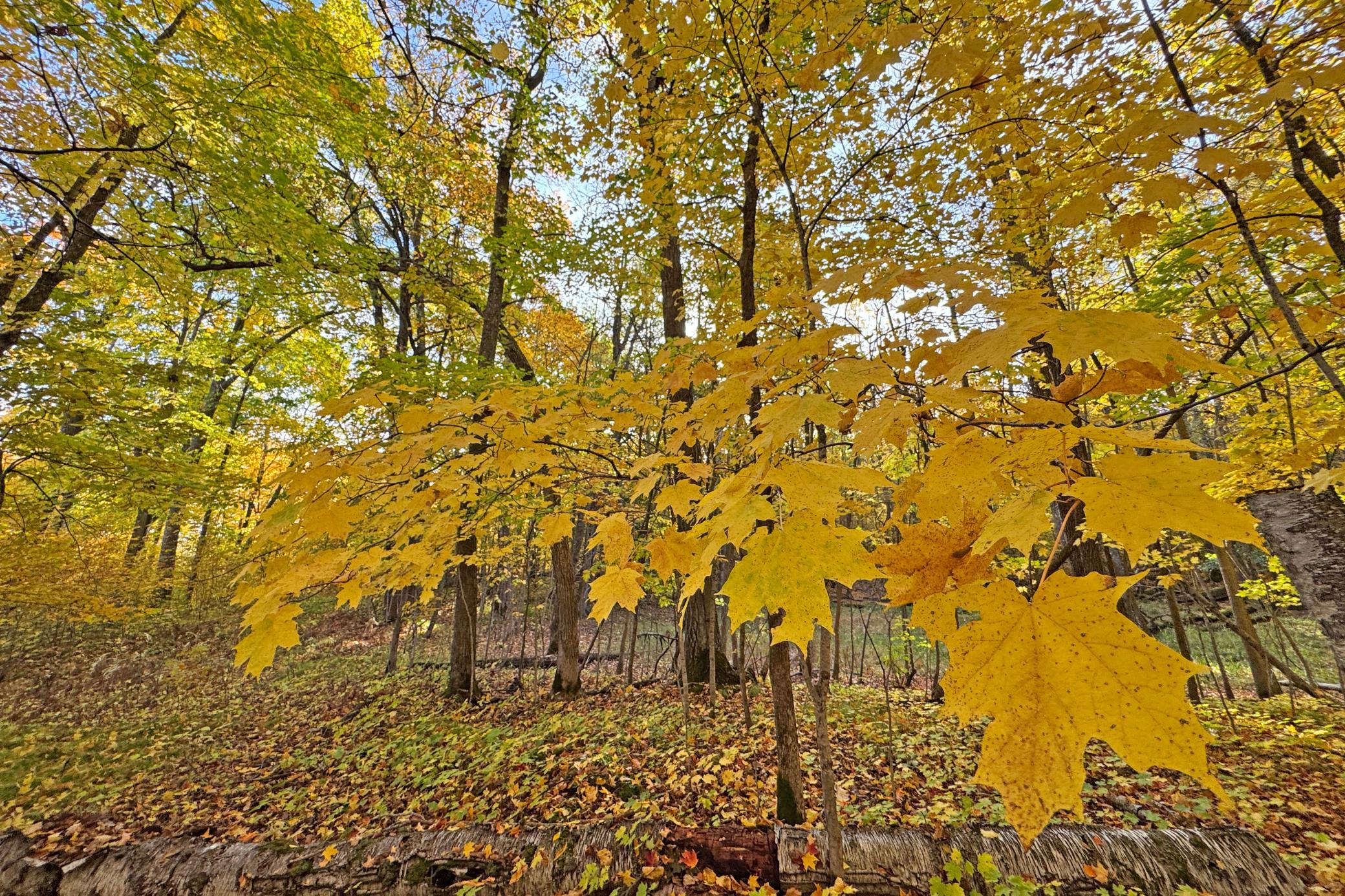 61-Becker-80-Land-43.JPG