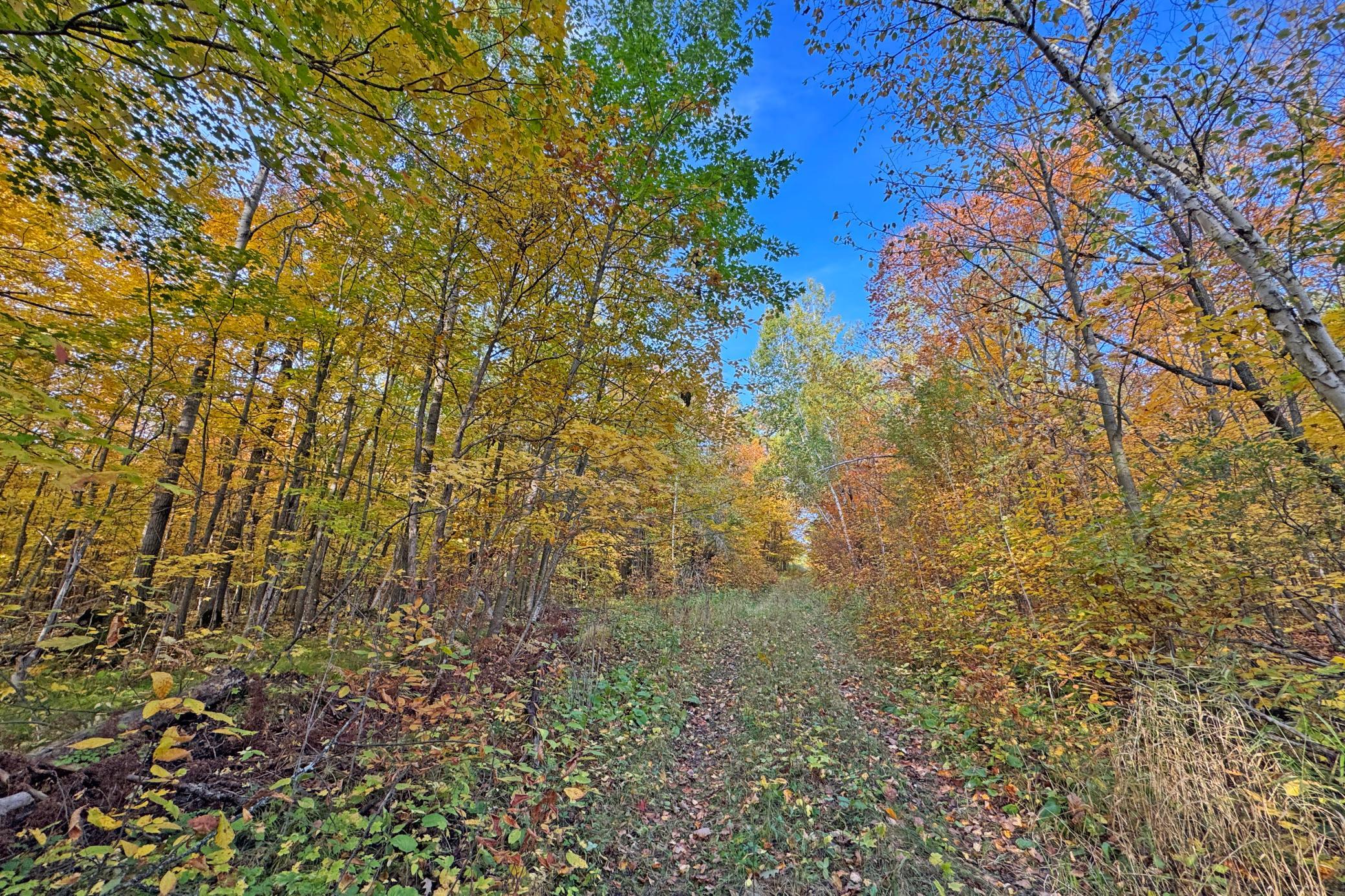16-Becker-80-Land-02.JPG