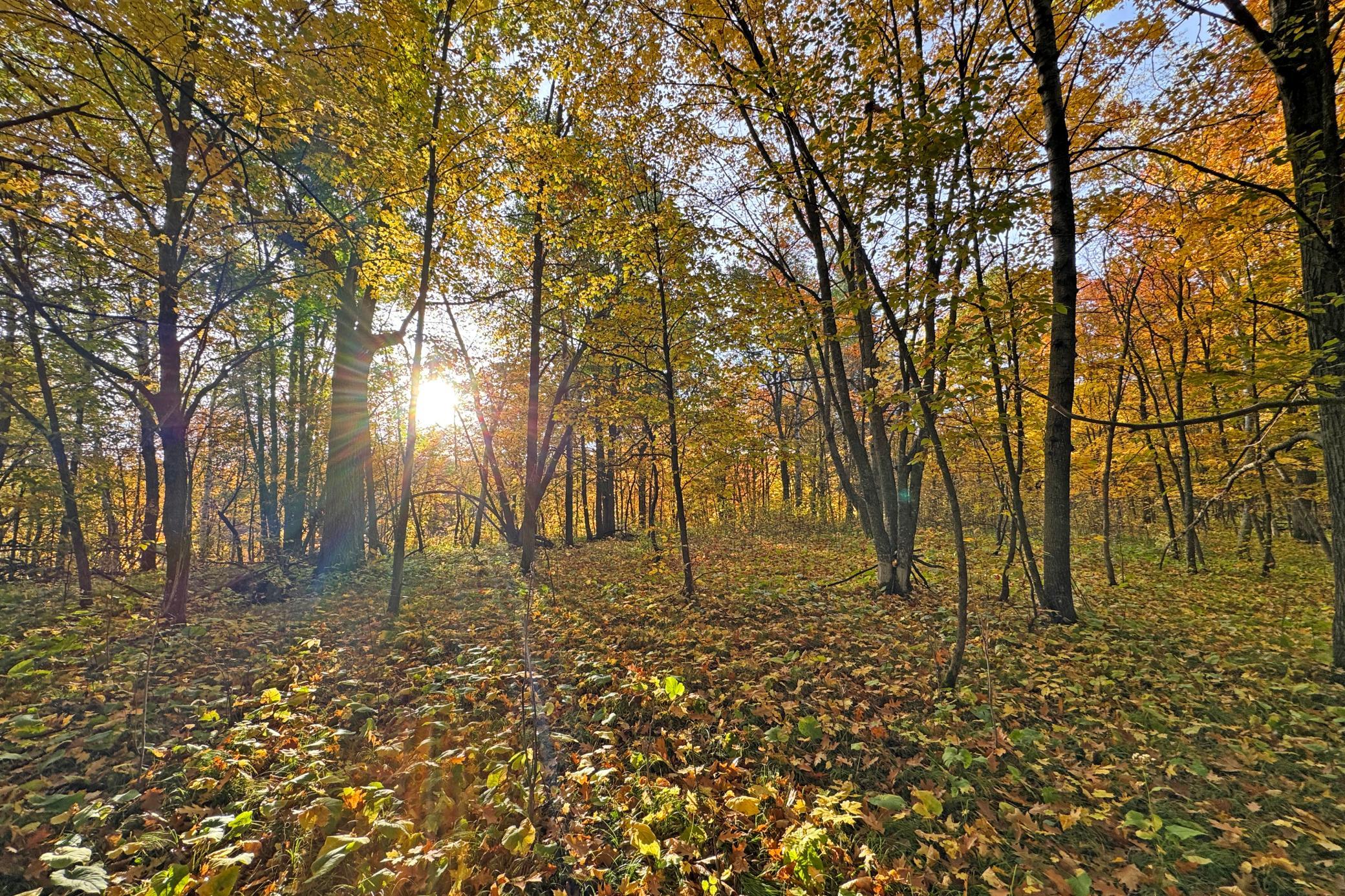 41-Becker-80-Land-27.JPG