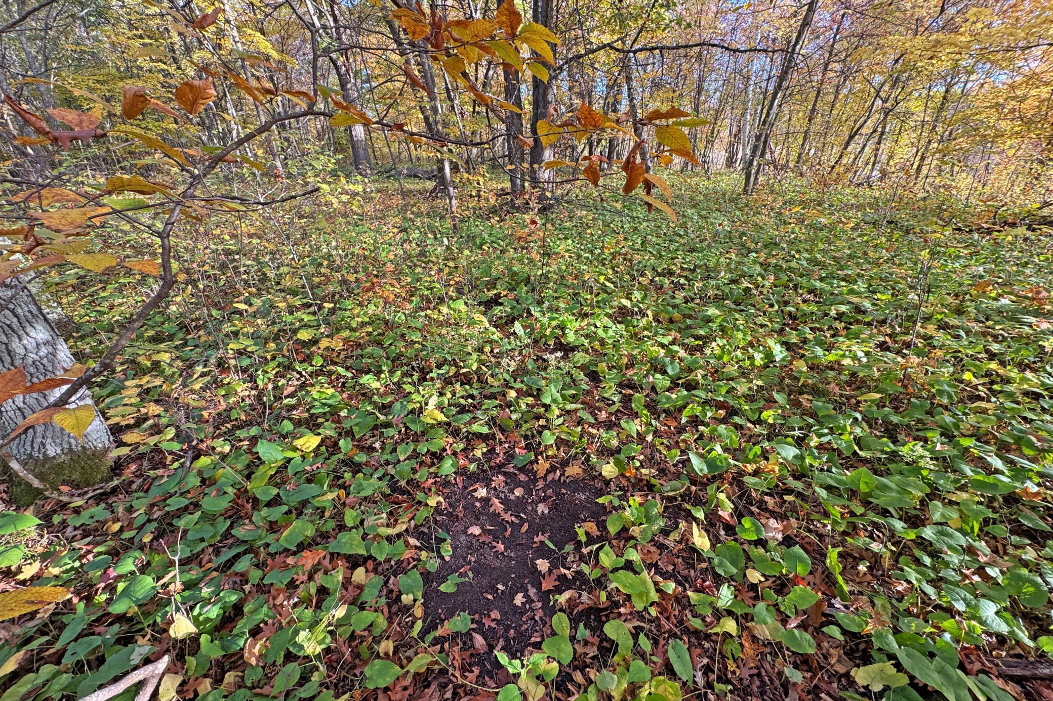 40-Becker-80-Land-26.JPG