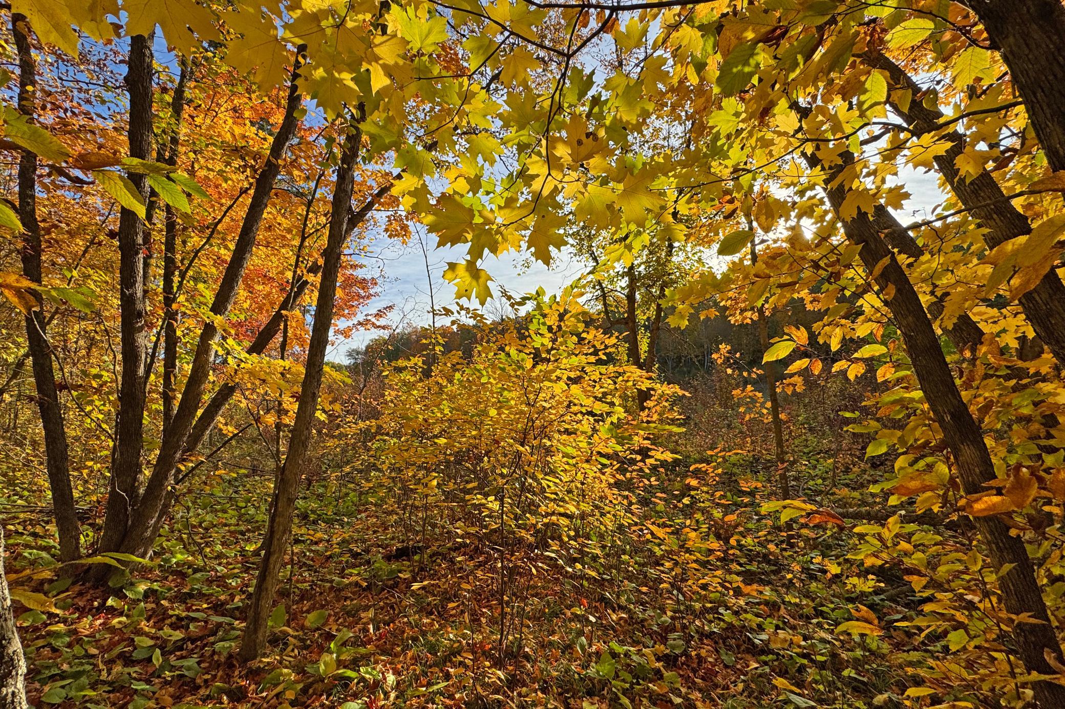 38-Becker-80-Land-24.JPG