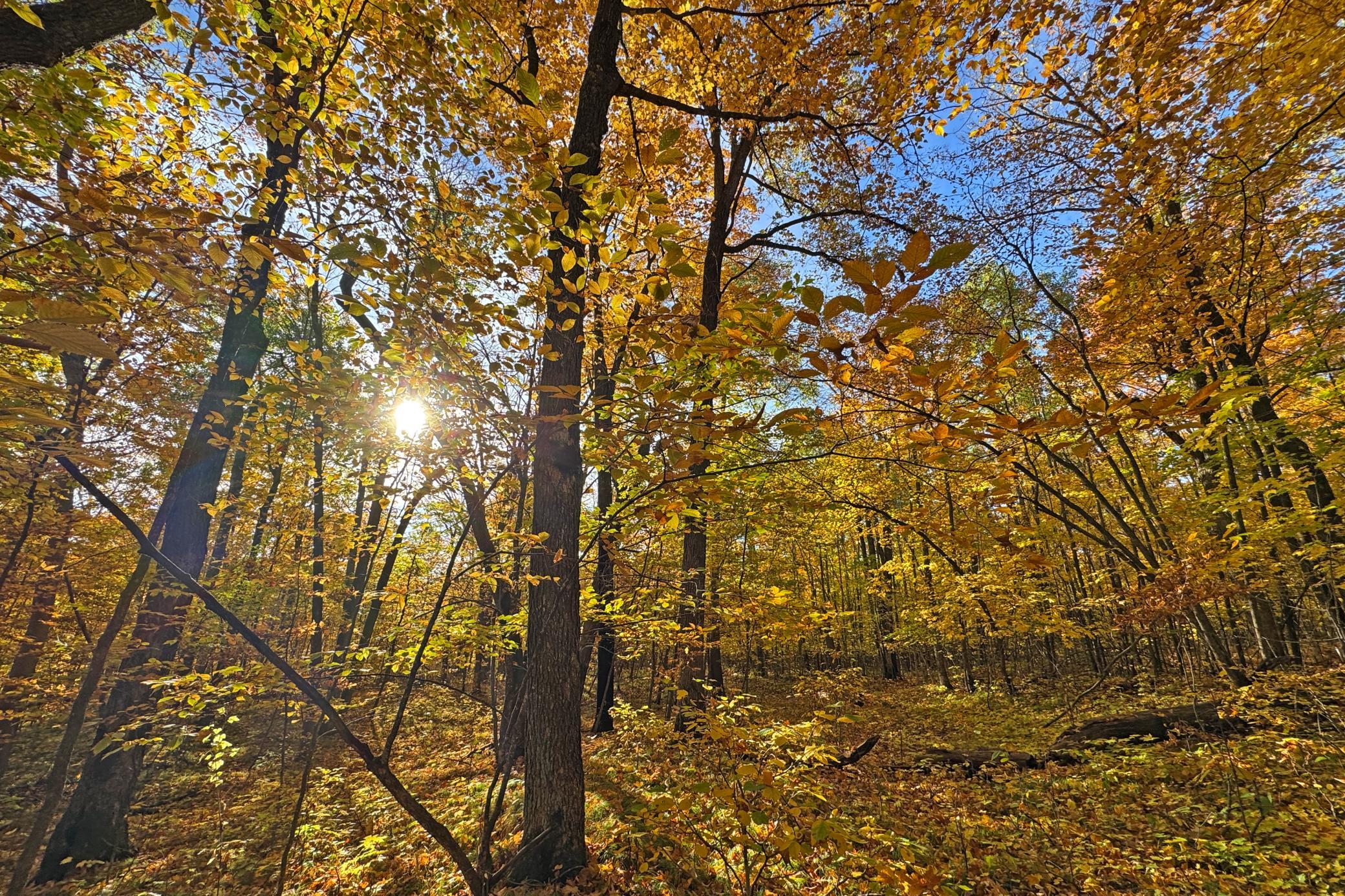 64-Becker-80-Land-46.JPG