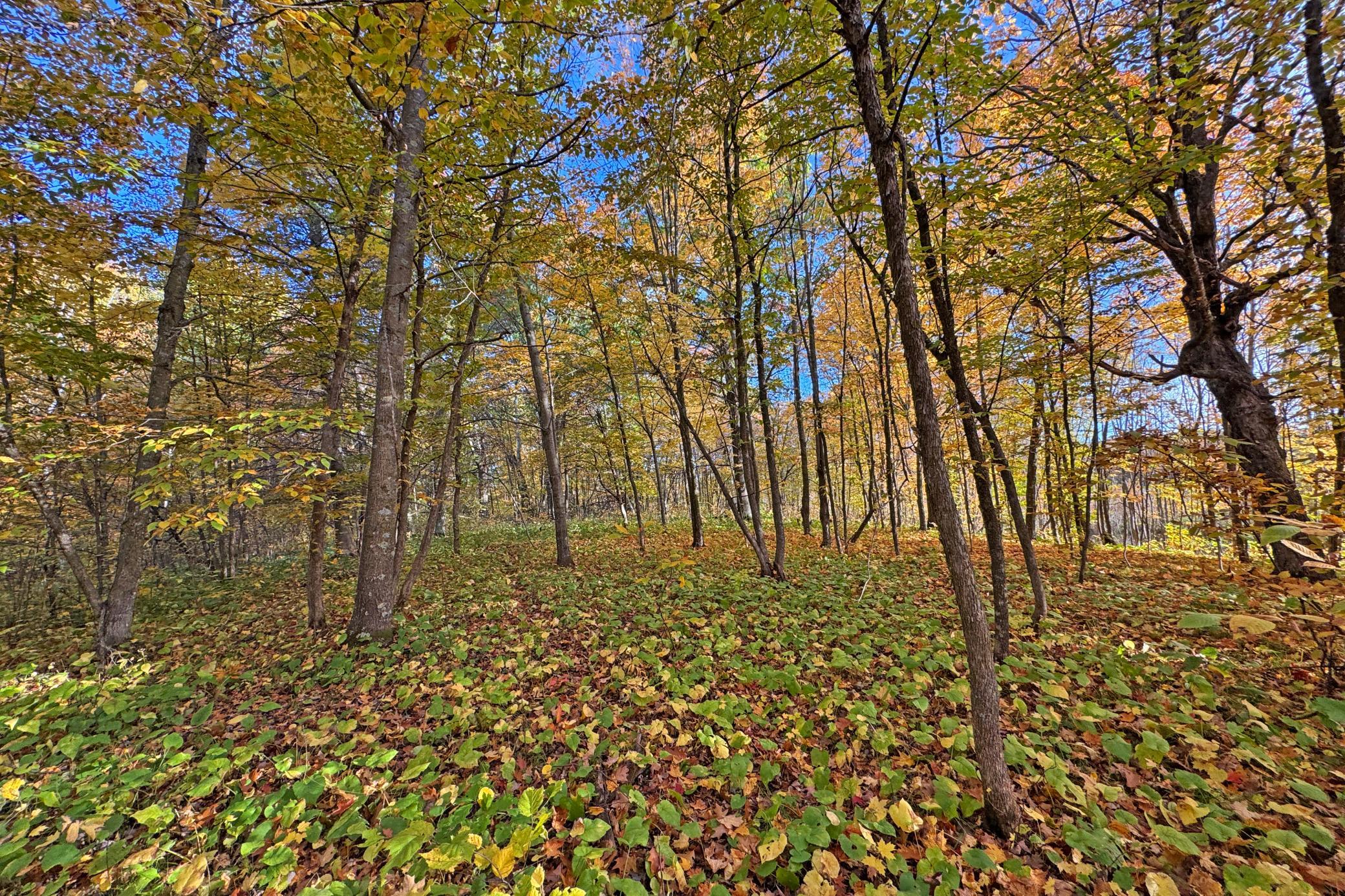 39-Becker-80-Land-25.JPG