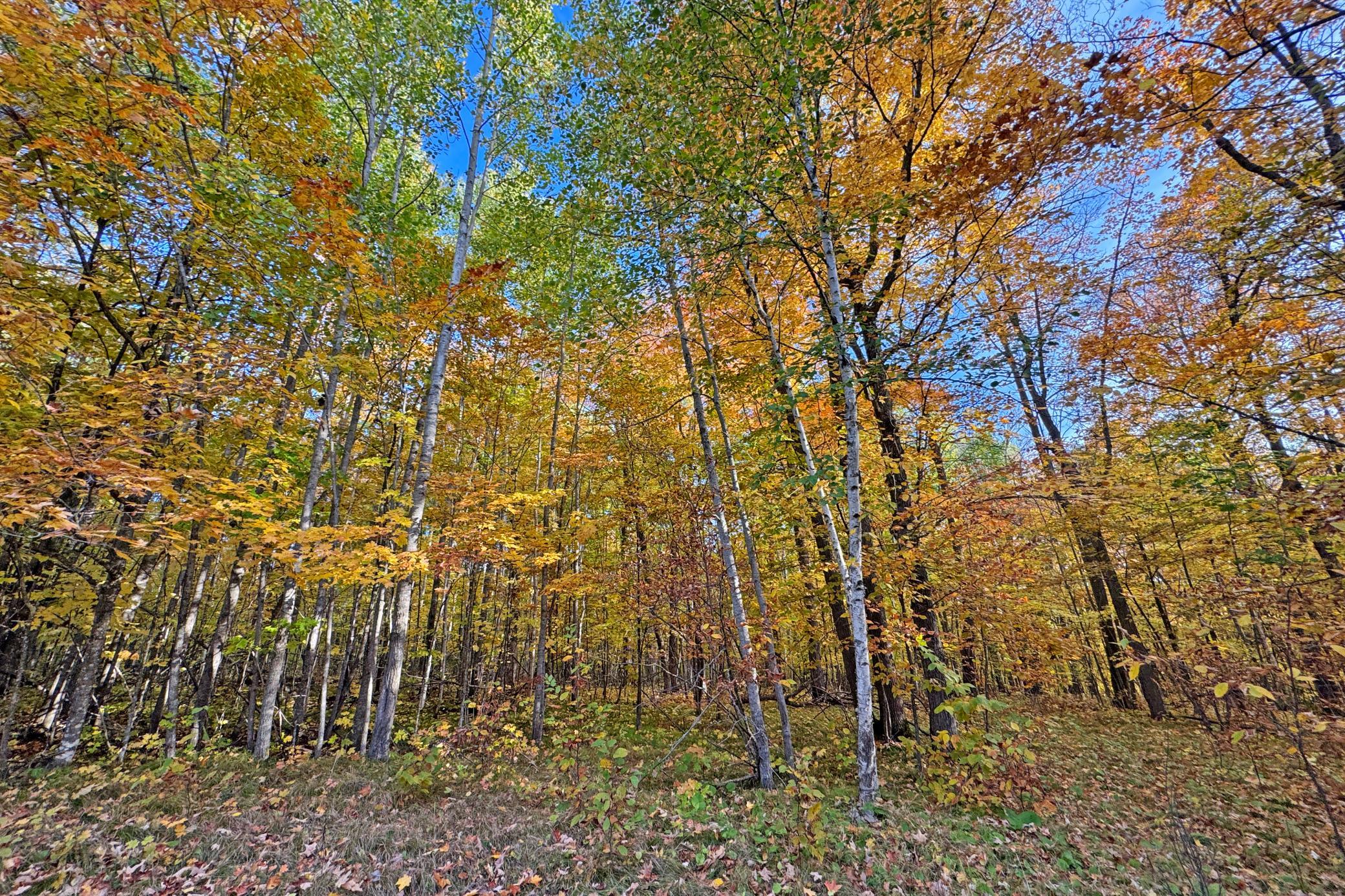 20-Becker-80-Land-06.JPG
